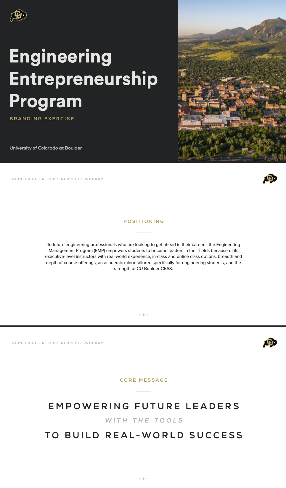 Engineering Entrepreneurship Program branding exercise